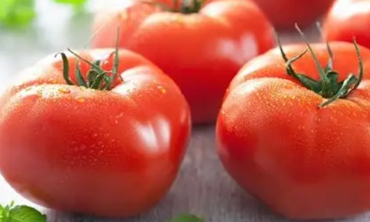 番茄每日建議量 番茄每日建議量