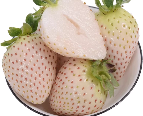白草莓营养 白草莓营养