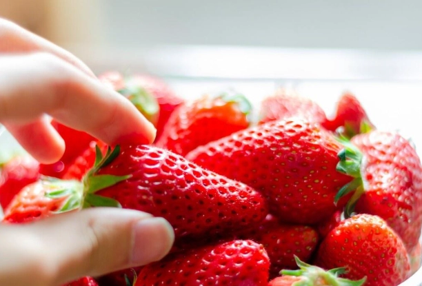 草莓健康風險