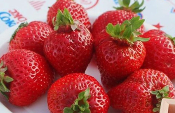 草莓每日攝取量