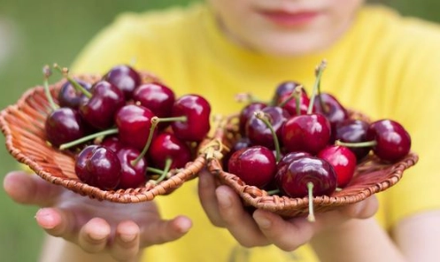 櫻桃吃太多副作用 櫻桃吃太多副作用