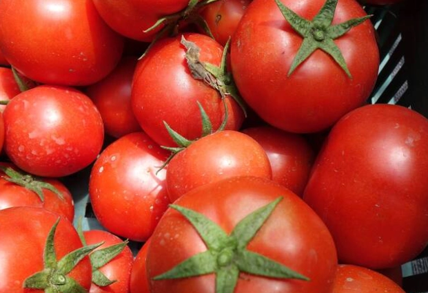 大番茄健康益處 大番茄健康益處