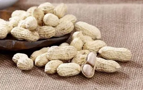 花生功效副作用