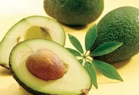 牛油果禁忌人群