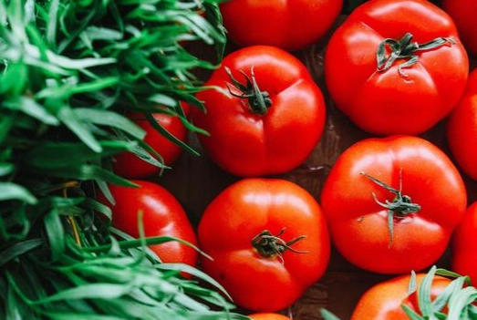 番茄每日建議量 番茄每日建議量