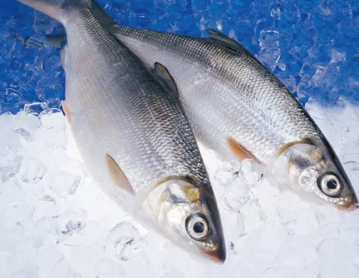 虱目魚鯖魚比較 虱目魚鯖魚比較