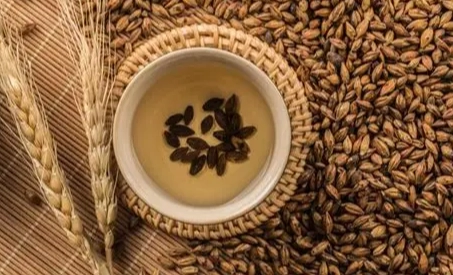 大麥茶怎麼泡 大麥茶怎麼泡