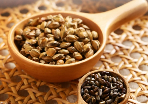 決明子麥茶泡法