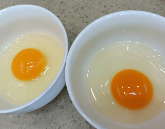 如何煮水煮蛋 如何煮水煮蛋