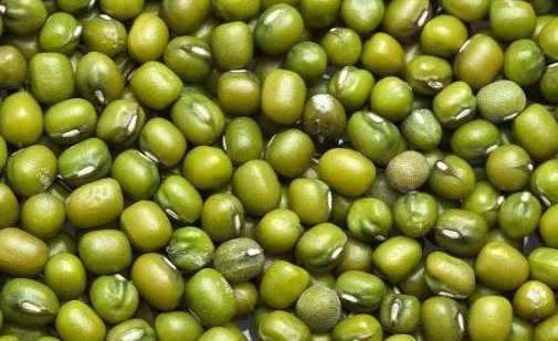 綠豆搭配禁忌 綠豆搭配禁忌