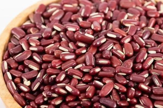 高蛋白植物食物 高蛋白植物食物