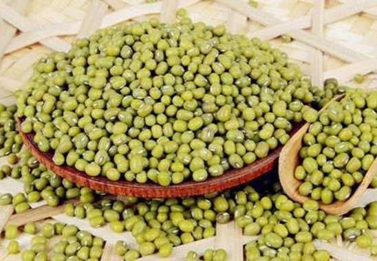 綠豆副作用 綠豆副作用
