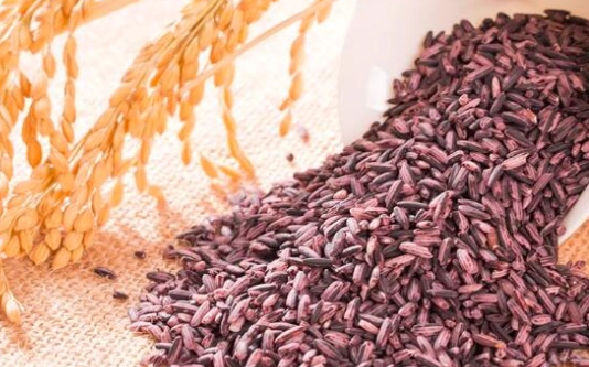 紫米副作用 紫米副作用