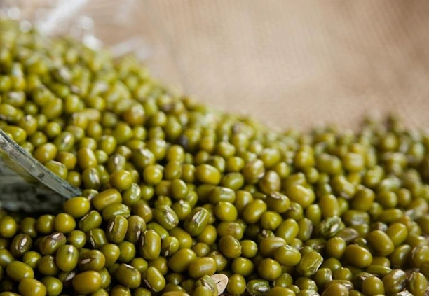 綠豆蛋白質食譜