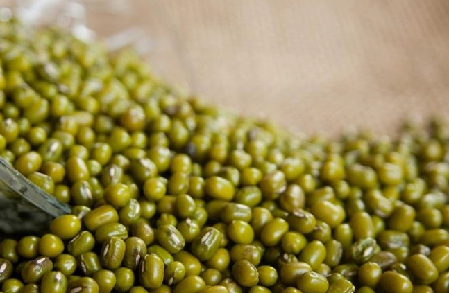 綠豆功效 綠豆功效