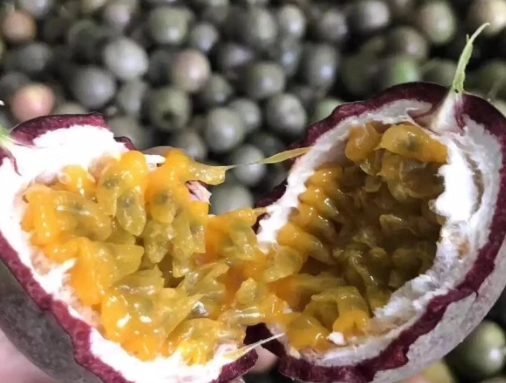 百香果食用禁忌