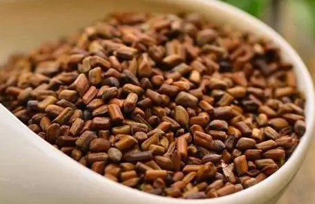 決明子可以每天喝嗎