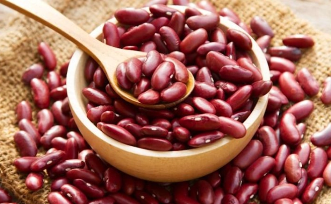 大紅豆營養 大紅豆營養