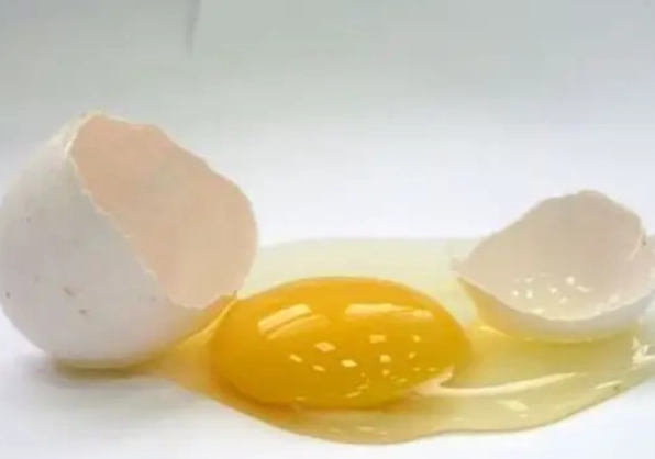 雞蛋新鮮度判斷