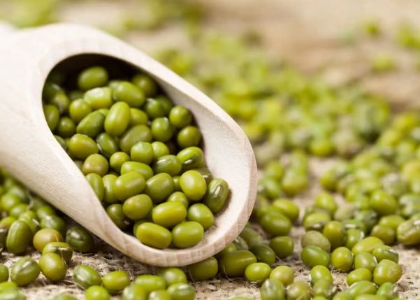 綠豆蛋白質好處