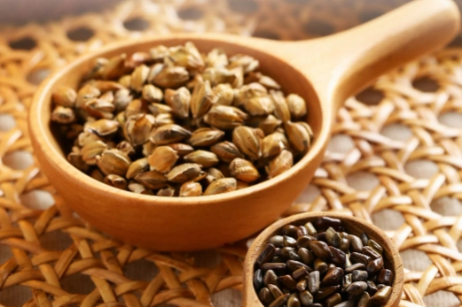 決明子麥茶副作用 決明子麥茶副作用