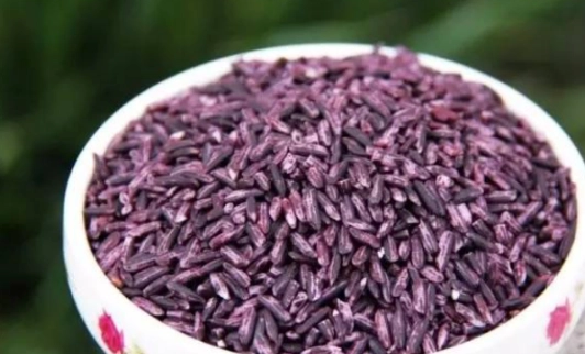 紫米副作用 紫米副作用