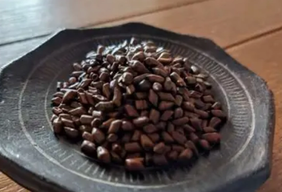 決明子麥茶副作用 決明子麥茶副作用