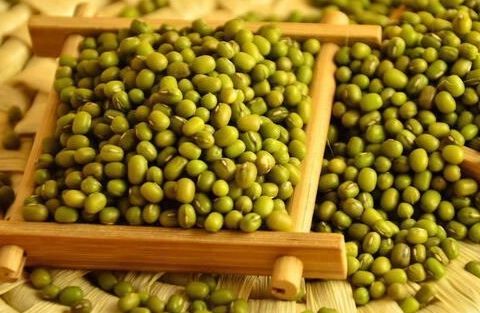 綠豆食用禁忌 綠豆食用禁忌