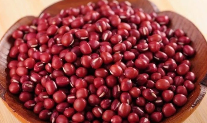 高蛋白植物食物 高蛋白植物食物