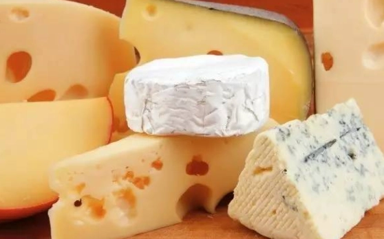 起司過量健康影響