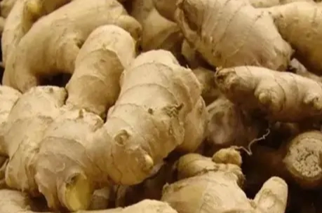 生薑酒禁忌 生薑酒禁忌