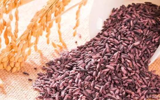 紫米禁忌 紫米禁忌