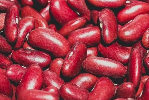 大紅豆食用方法