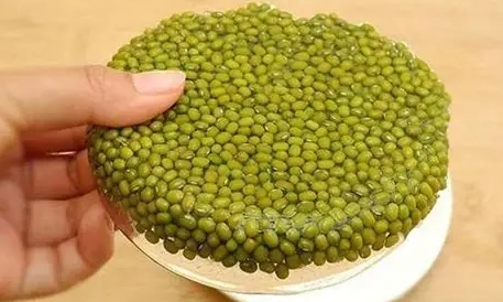 綠豆湯腸胃炎 綠豆湯腸胃炎