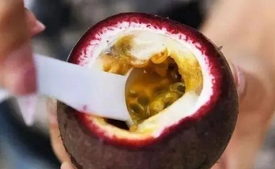 醫生反對百香果