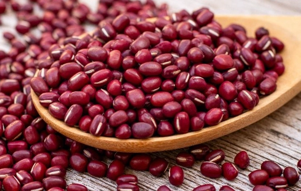 大紅豆營養 大紅豆營養