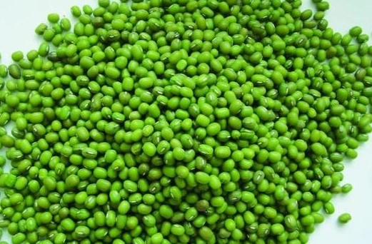 綠豆搭配禁忌 綠豆搭配禁忌