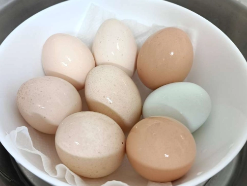 電鍋水煮蛋時間 電鍋水煮蛋時間