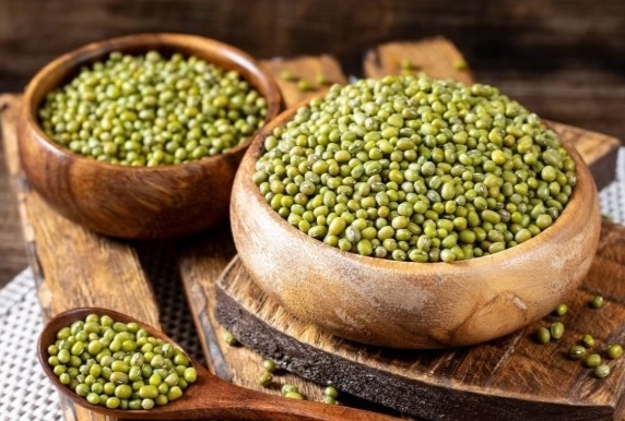 綠豆蛋白質營養價值