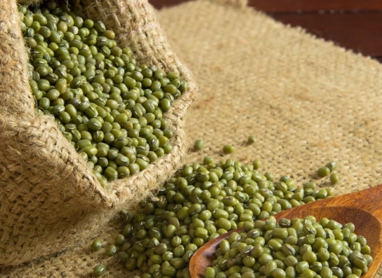 綠豆蛋白質食譜