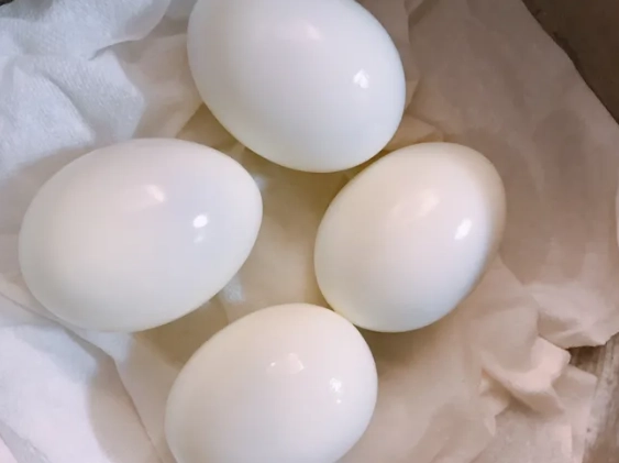 大同電鍋煮蛋時間 大同電鍋煮蛋時間