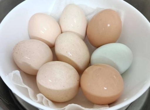 大同電鍋煮蛋時間 大同電鍋煮蛋時間