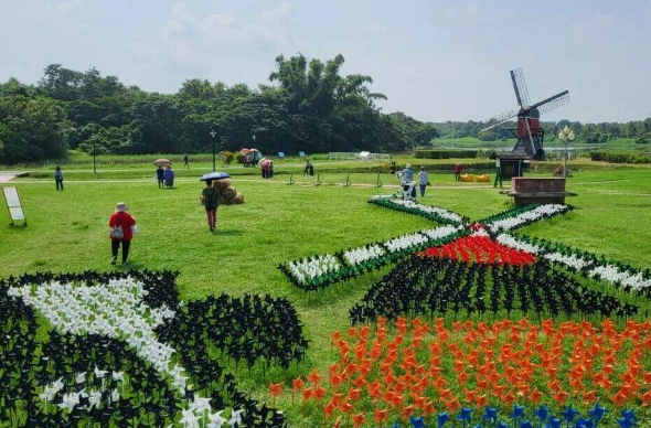 台南特色體驗推薦