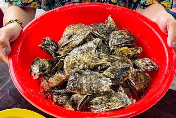 東石鮮蚵吃到飽推薦