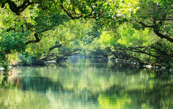 台南市區涼爽去處