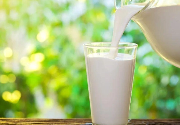 羊奶壞處 羊奶壞處