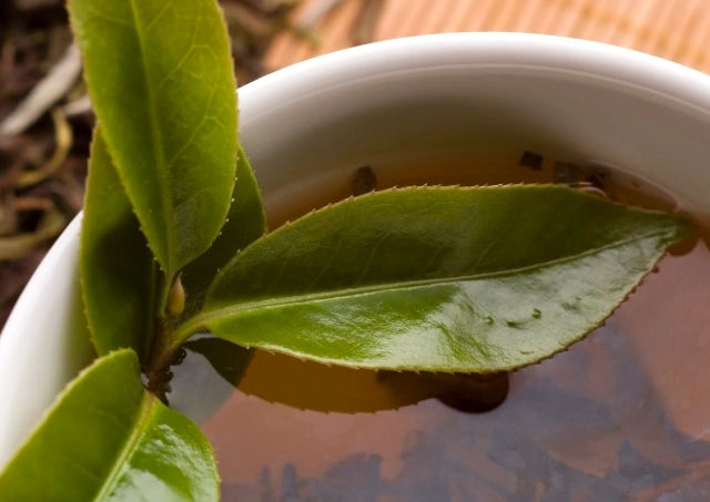 綠茶功效 綠茶功效