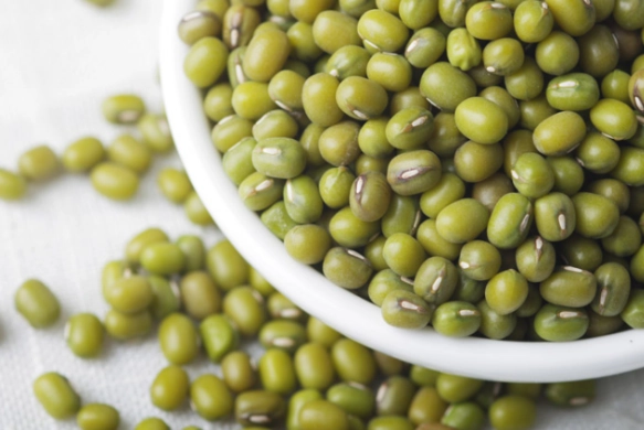 綠豆食用禁忌