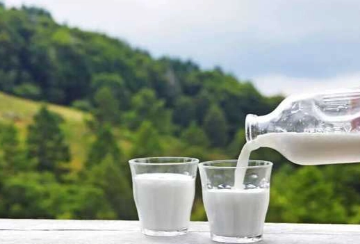 羊奶副作用 羊奶副作用