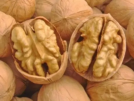 生核桃食用安全